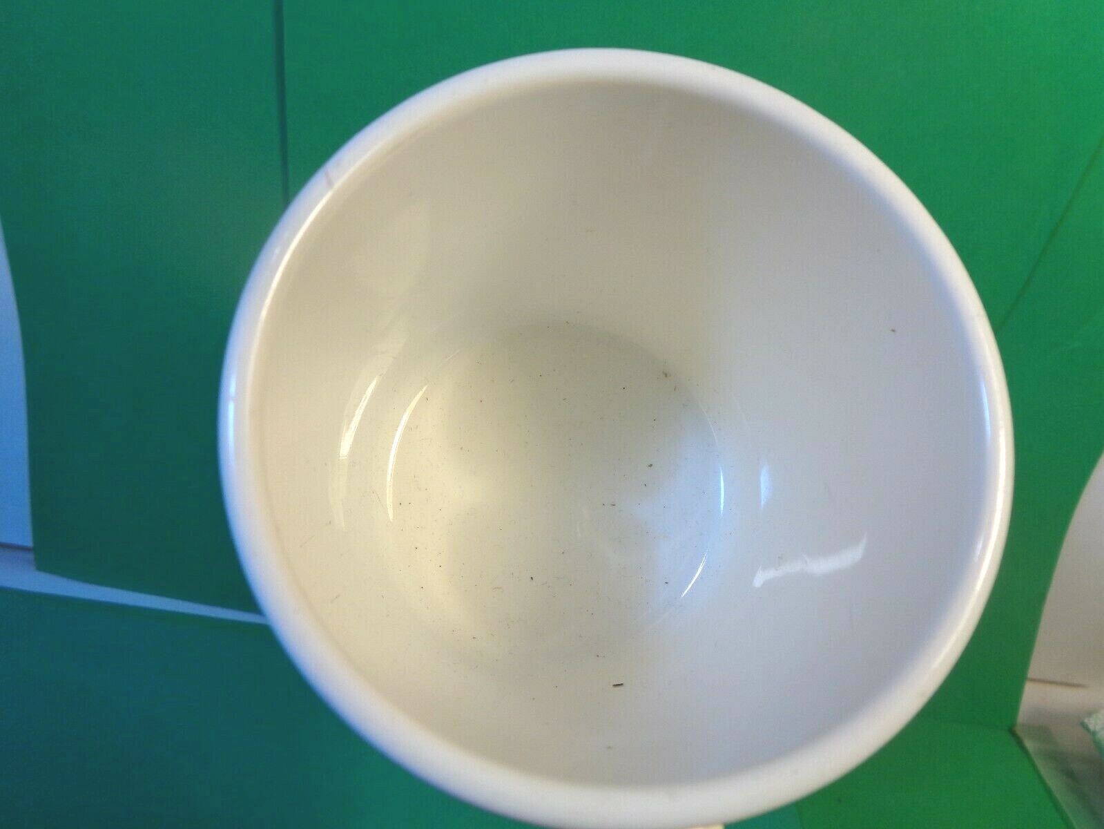 Pacifica Seafood Buffet Coffee Mug, Steelite International (Used/EUC)