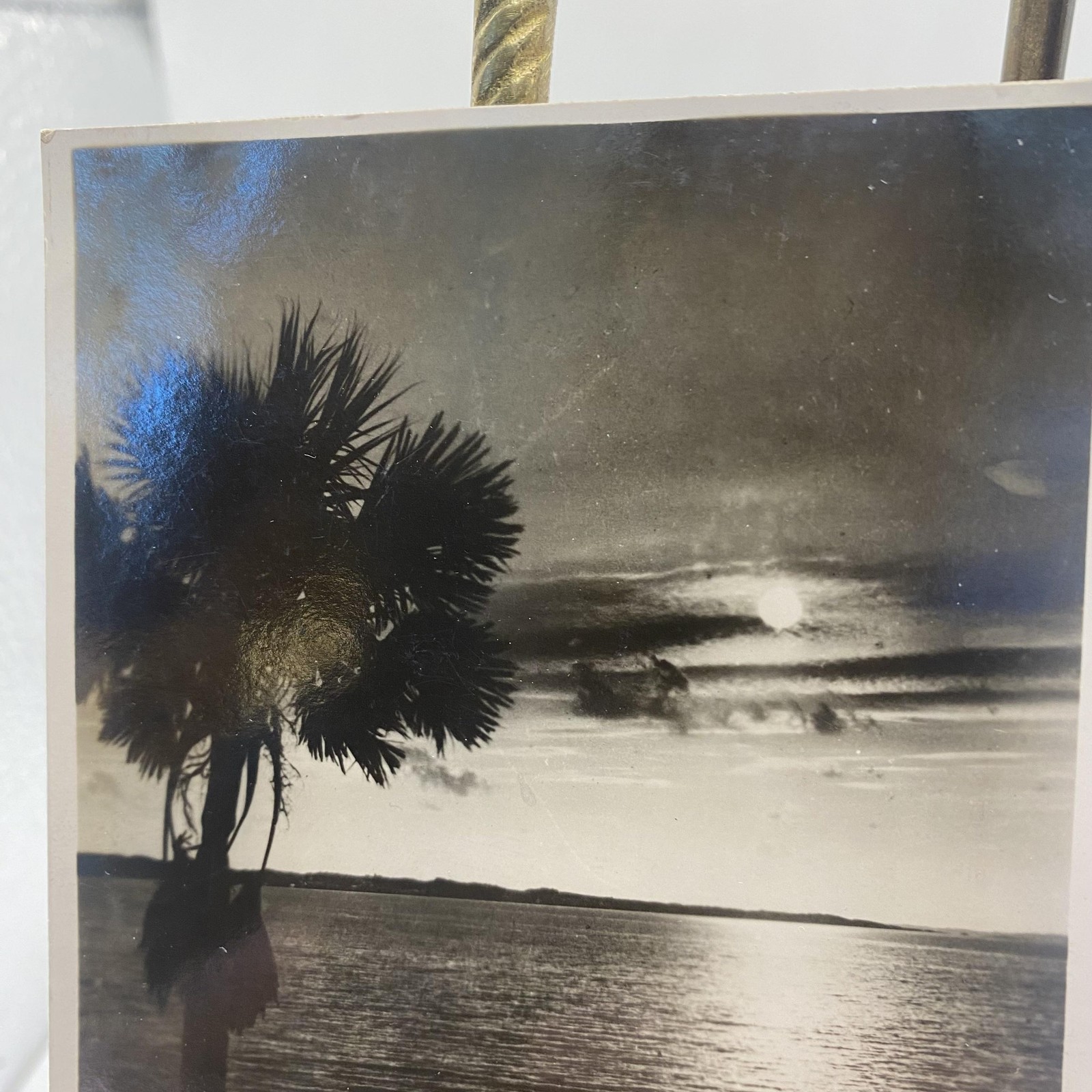 Vintage Lone Palm Hamilton Bermuda RPPC Real Photo Postcard Hunt’s England