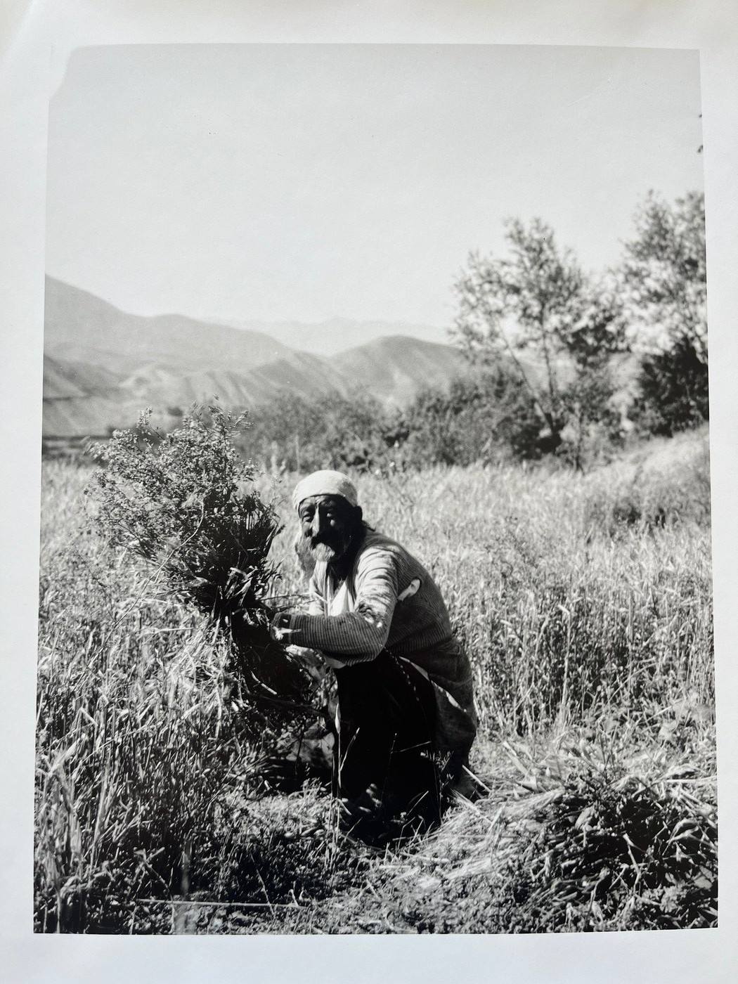 Lockhart Persia Iran Farmer Grain Harvest Alborz Mountains 1920s – Type 2 Photo
