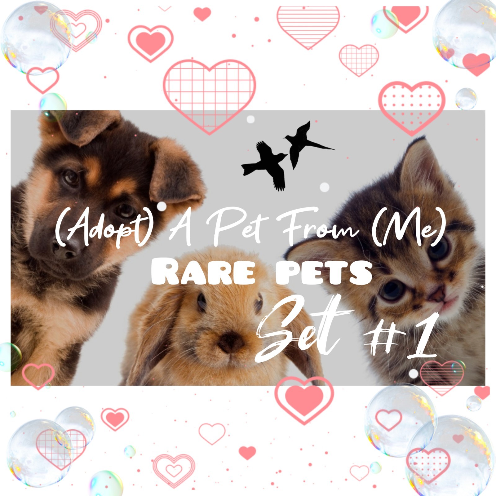 🌸 AÐ0PT (All Stuff FRM M3) Today! 🌸 🌟Rare🌟 🖤 FR 💜 F 💚 R 🩵 NP 💖