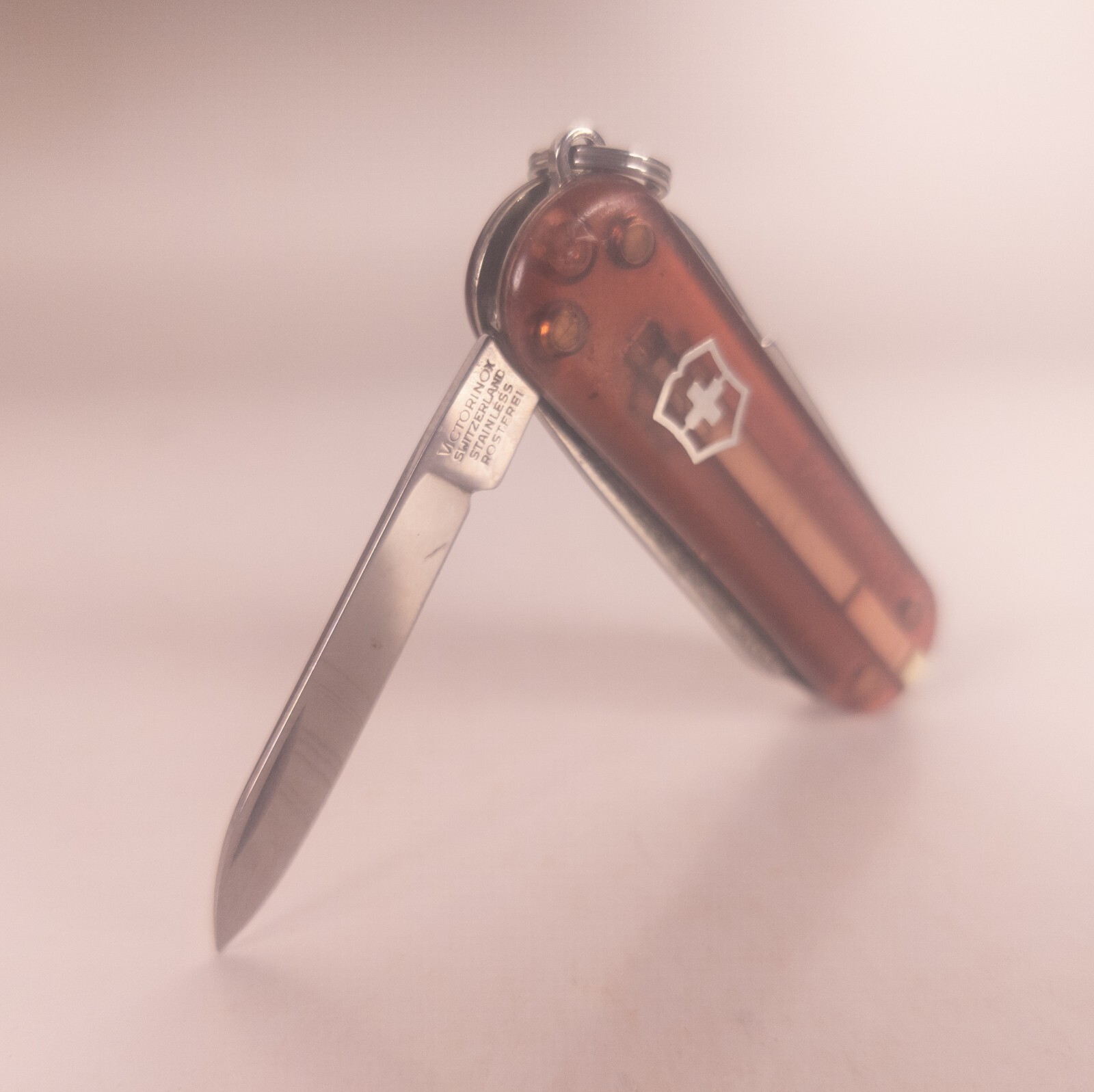 Chocolate Fudge Victorinox Classic SD 58mm Brown Transparent