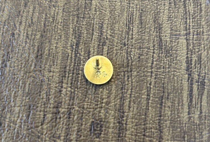 U. S. Steel (USS) Logo Lapel Pin