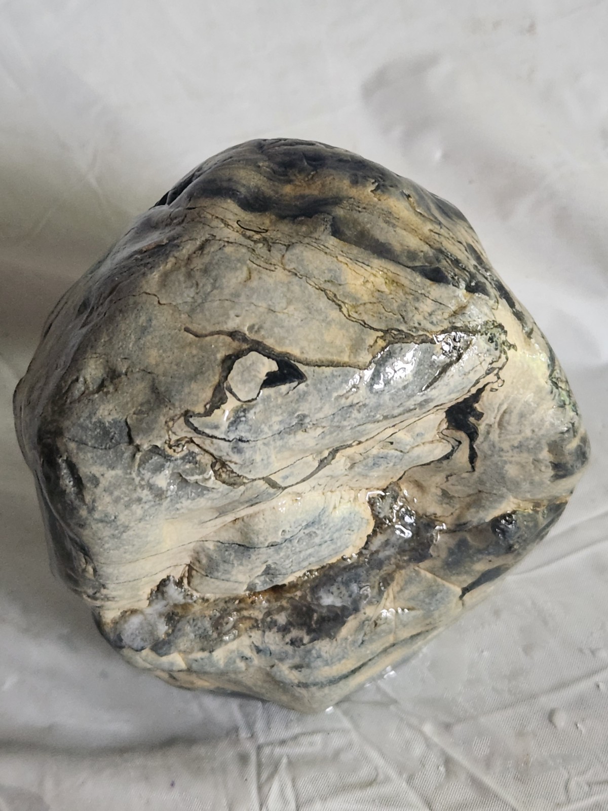 Lake Superior Rough Stone Specimen (Unknown) • 5 lbs 2.7 oz