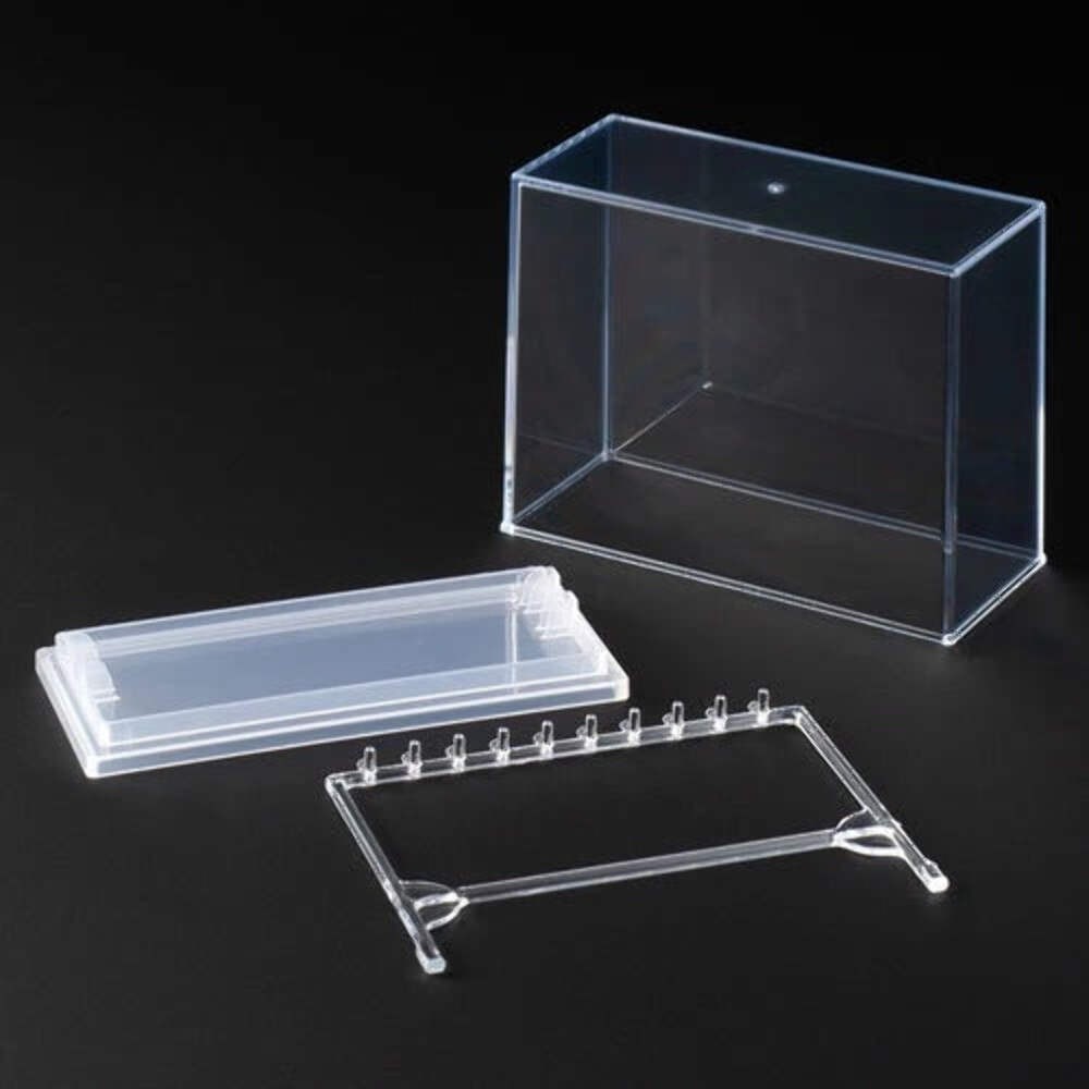 Inomata Gacha Keychain Acrylic Gashapon Capsule Toy Mini Display Case US SELLER