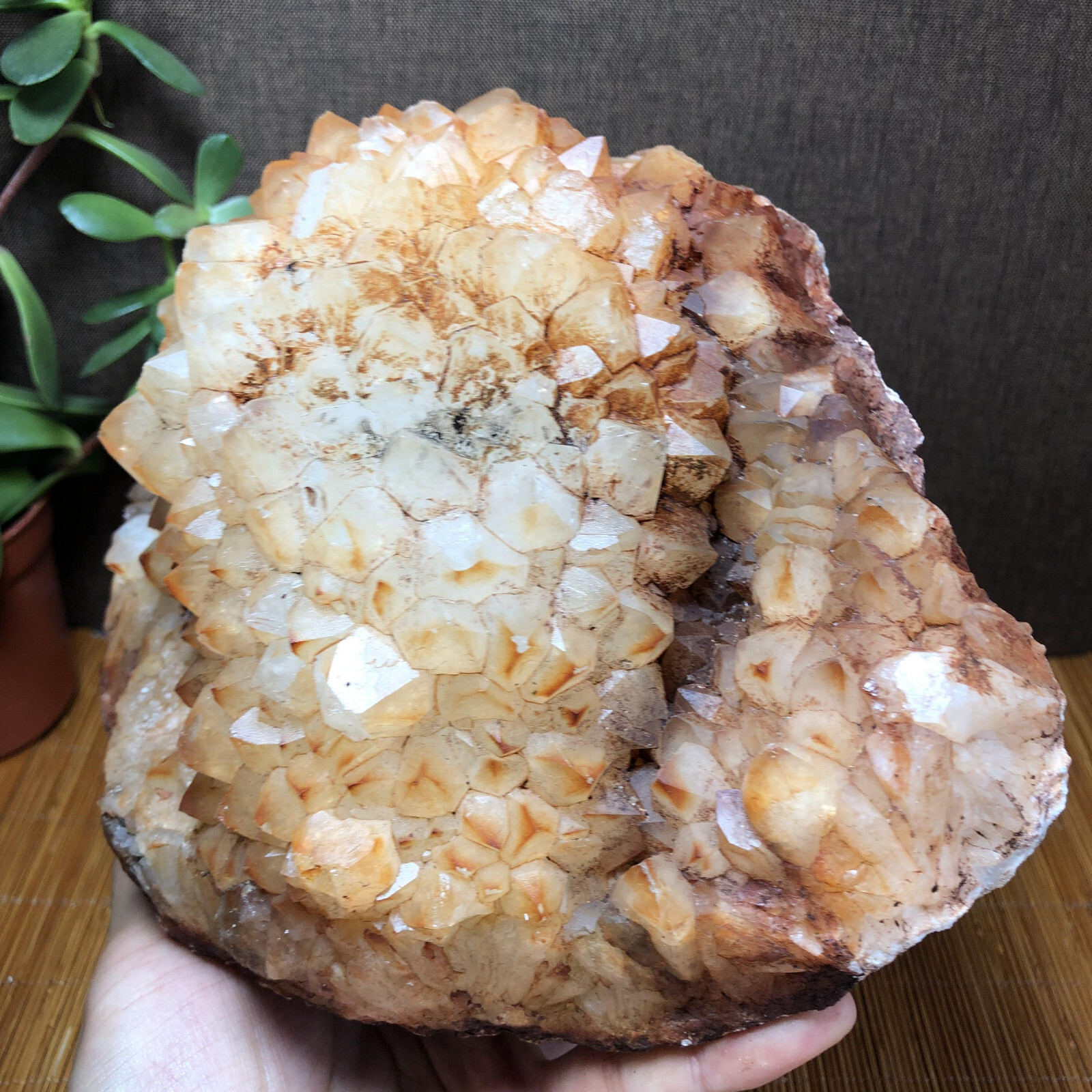 2.47kg Rare Natural rough Agate original pretty Stunning Viewing 190mm A2746