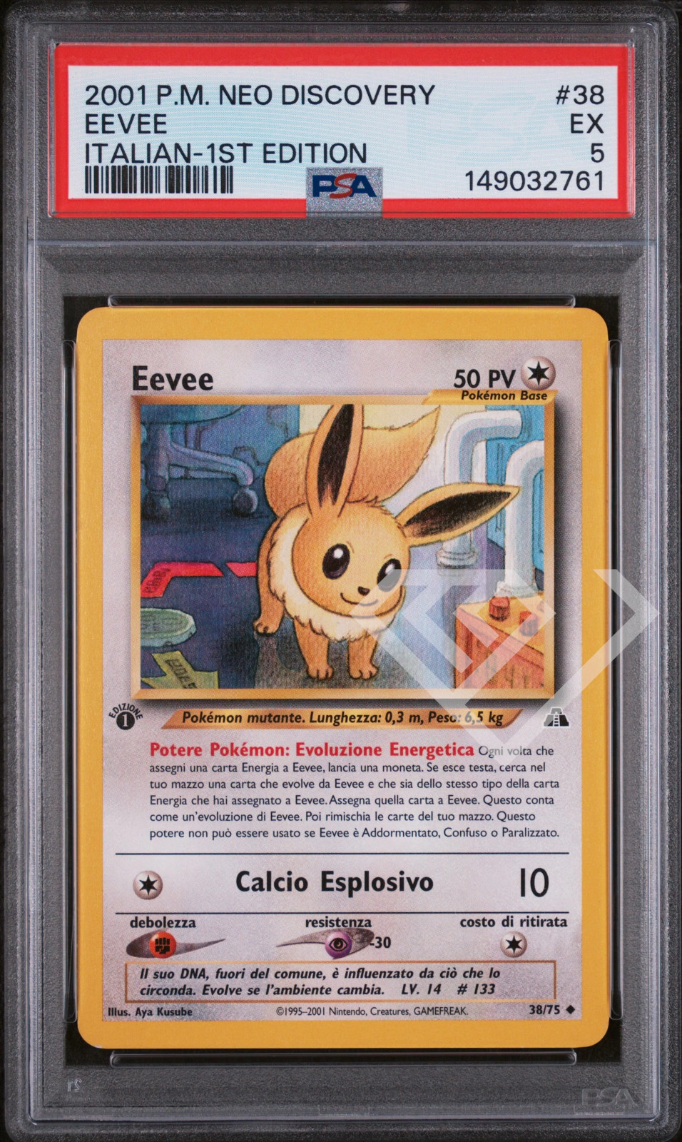 Pokemon Card Eevee 38/75 Uncommon Neo Discovery 1st Edition – PSA 5 Italian