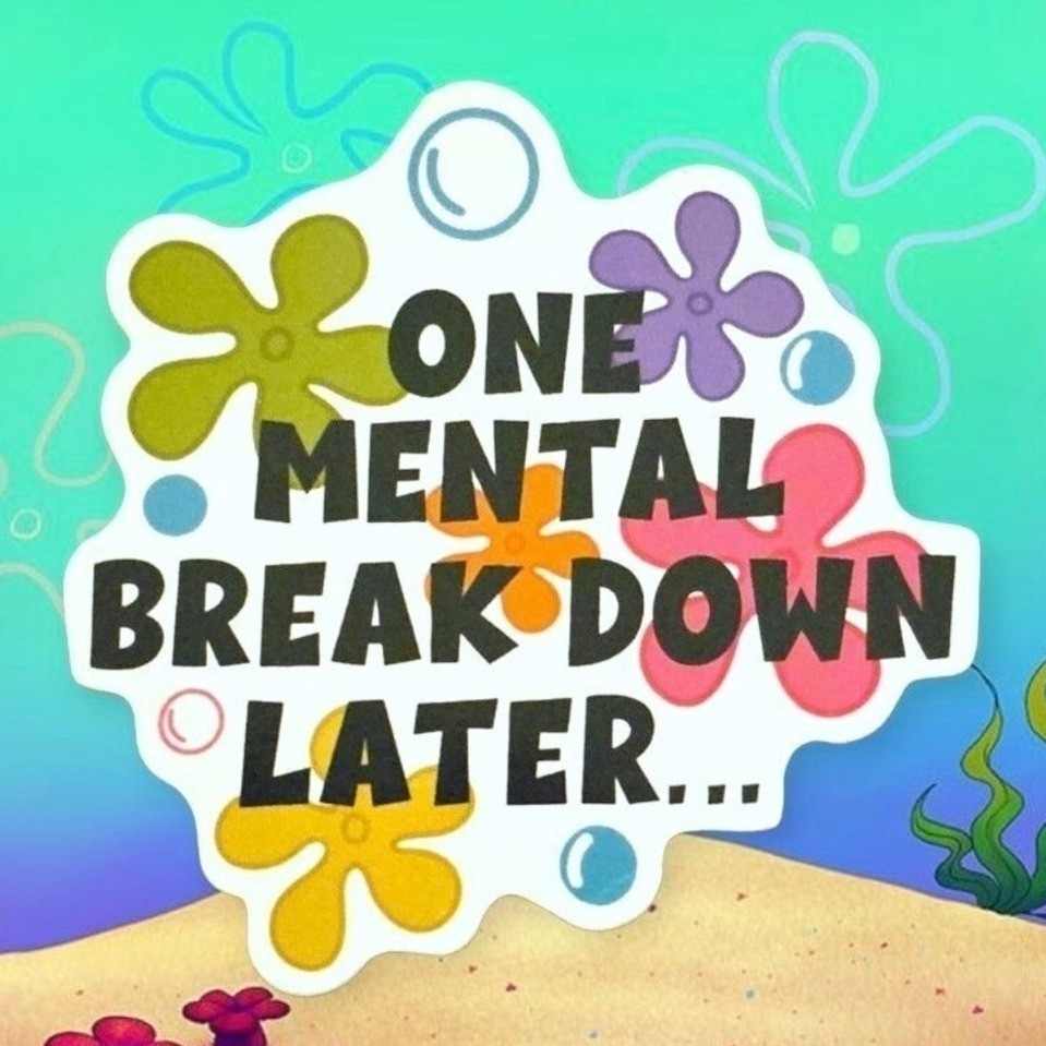 Funny Meme One Mental Breakdown Later Magnet