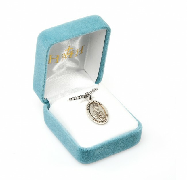 St. David Sterling Silver 24 Inch Necklace