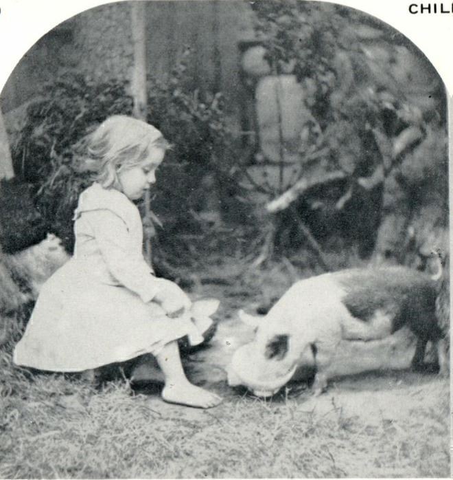 CHILDREN PLAYING WITH PIG “TAKE A ‘POON PIGGIE” STEROVIEW 14-24