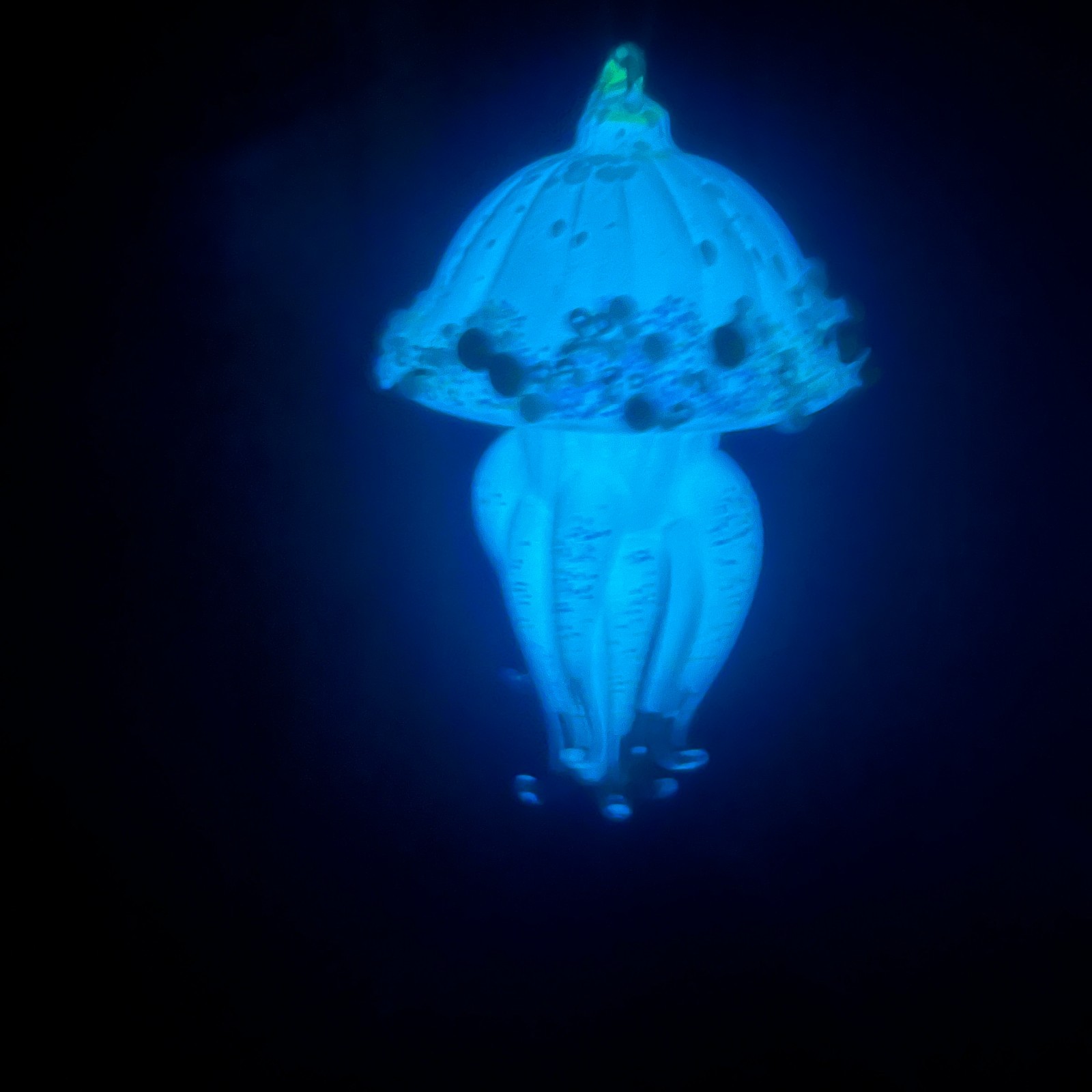 Kurt Adler Luminosity Glow In the Dark Glass Jellyfish Ornament T3732 Nautical