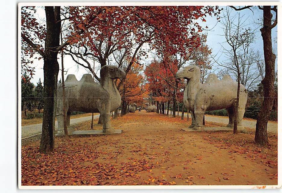 Postcard Sacred Way Ming Xiaoling Mausoleum Nanjing China