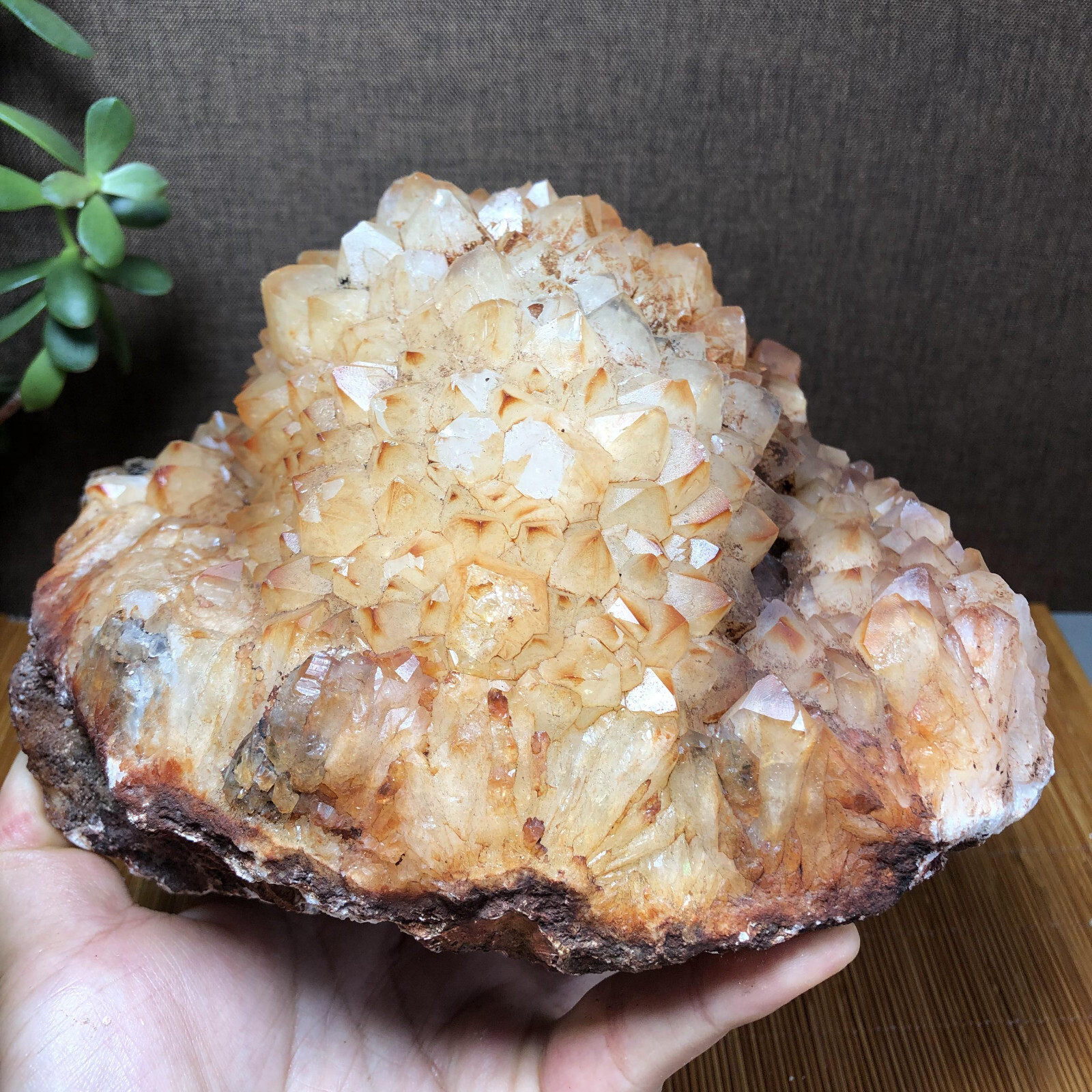 2.47kg Rare Natural rough Agate original pretty Stunning Viewing 190mm A2746