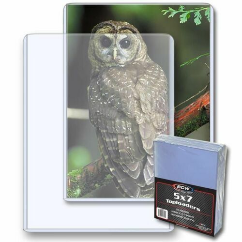25 BCW 5×7 Photo Print Document Toploader Holder Plastic Rigid Case Standard