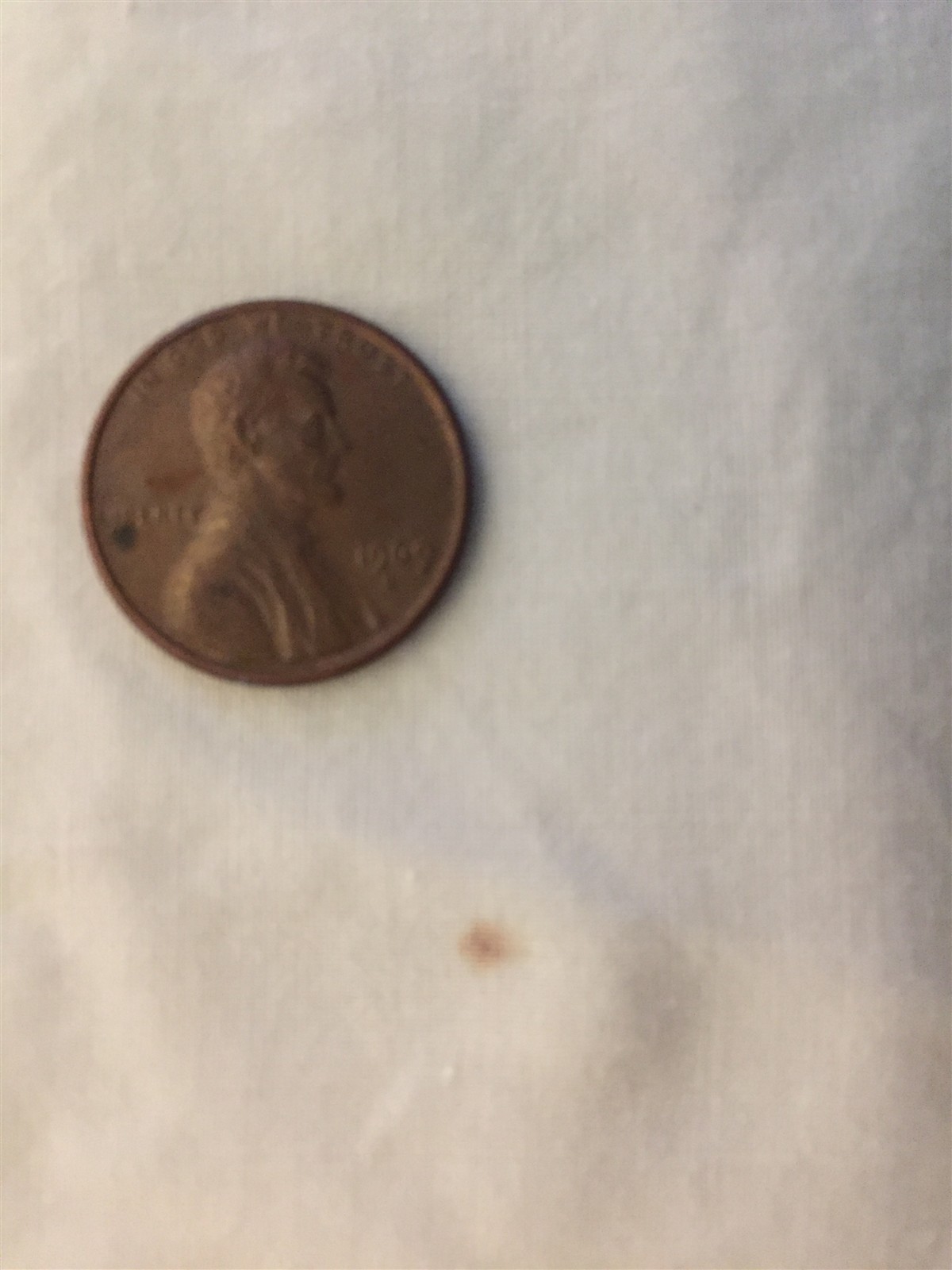 Vtg Springmaid Twin Flat Sheet + 2 Pillowcases Pink Flower Embroidery Cotton