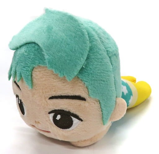 BTS TinyTAN RM Jin SUGA j-hope Nesoberi Plush Mascot Japan