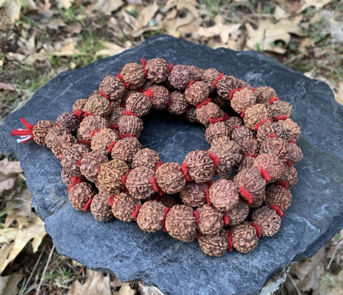 Himalaya Dark Rudraksha Shiva Japa Mala 108 Seeds XL Size Handmade in Nepal