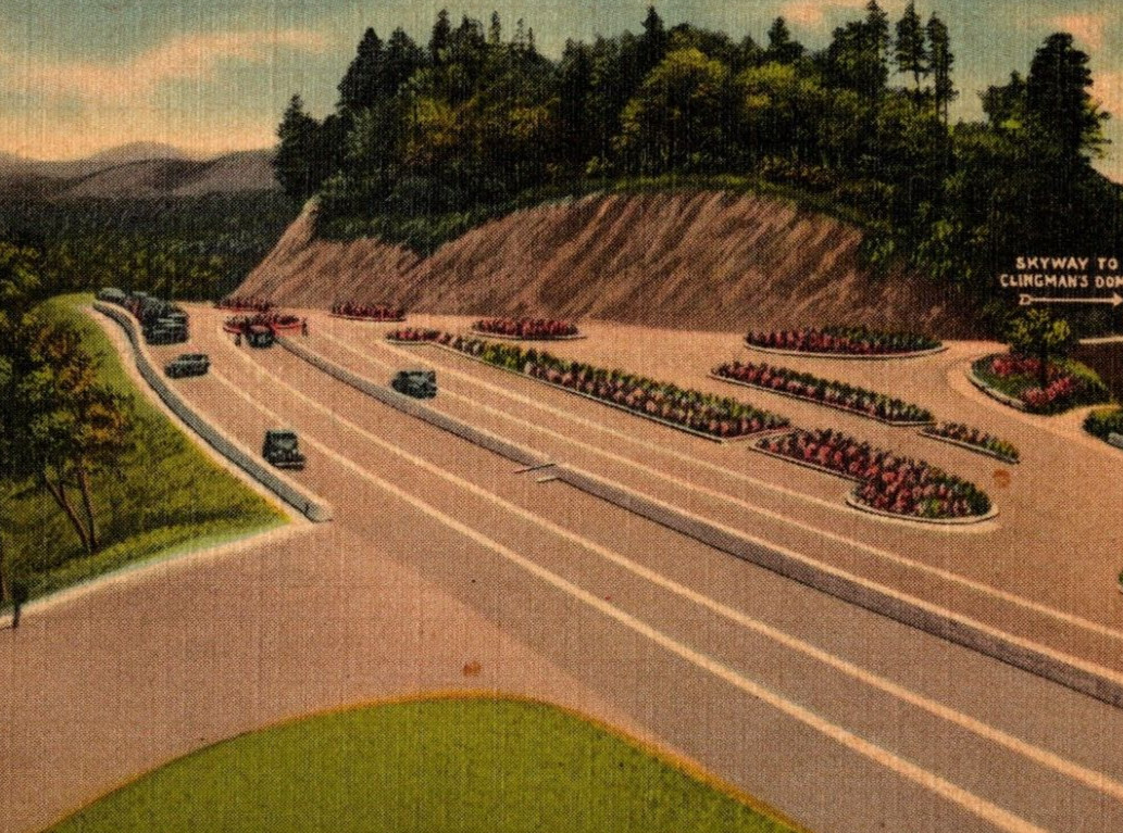 1940 Parking Area at Newfound Gap Great Smoky Mountains Nation Postcard Vintage