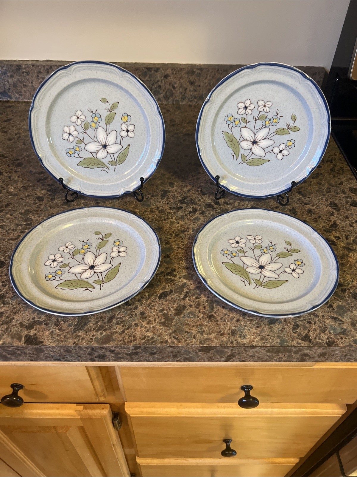 (4) Intl. China Co. Country Cousins “Jennifer” Stoneware Salad Plates