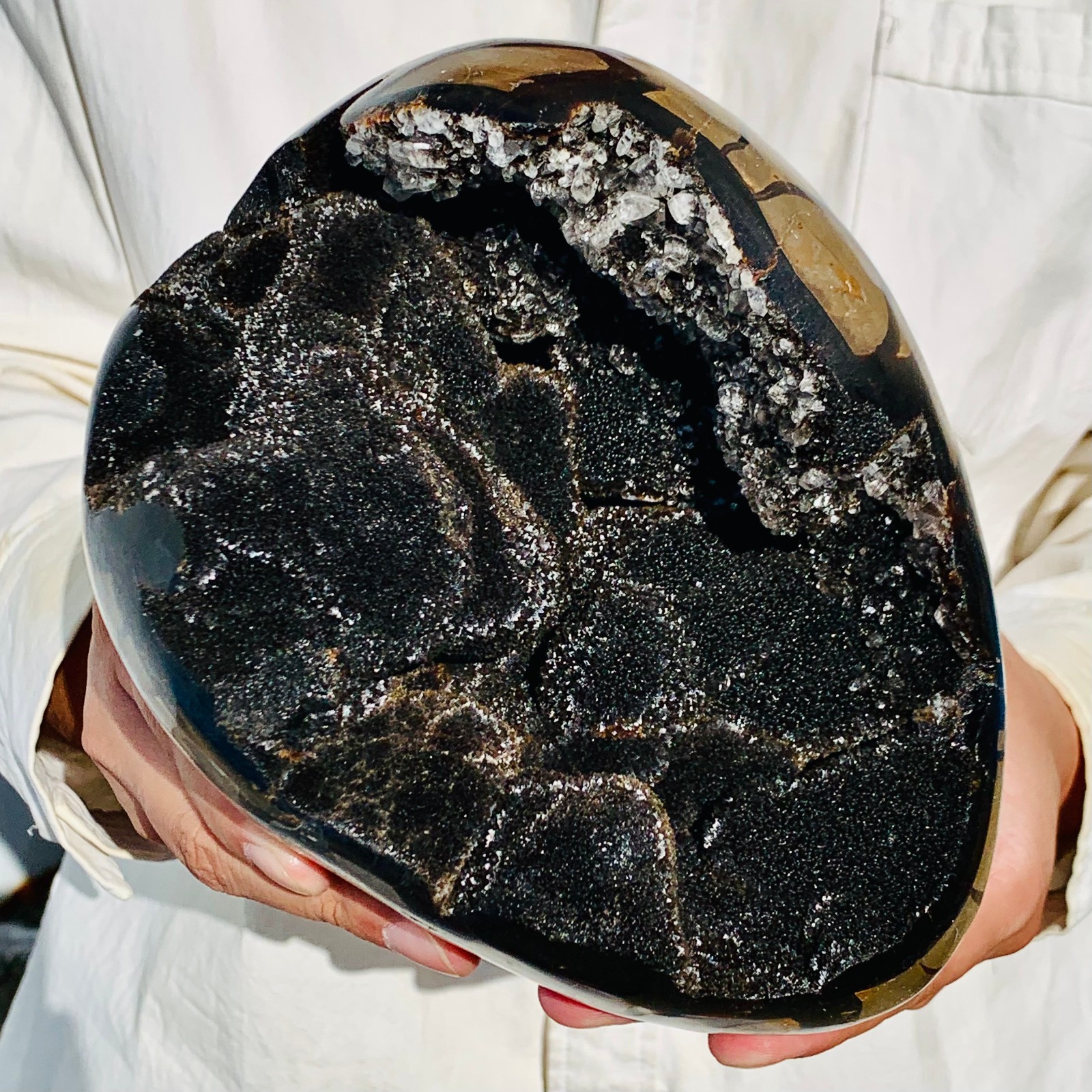 7.99LB Natural Turtle Back Stone Dragon Crystal Cave Crack Gem Healing