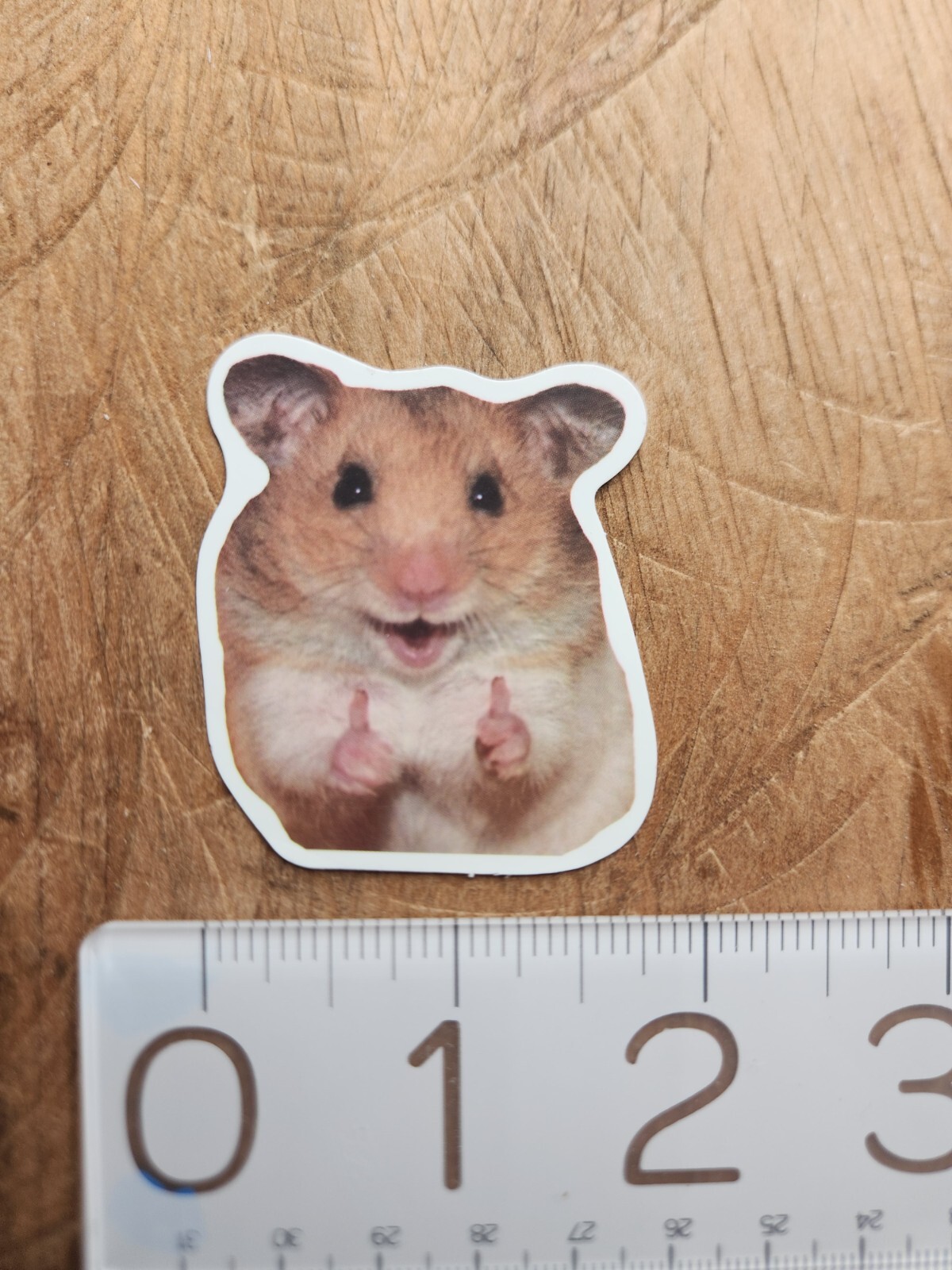 HAMSTER Sticker Funny Sticker Funny Decal Meme Sticker Meme Decal Joke Comedy