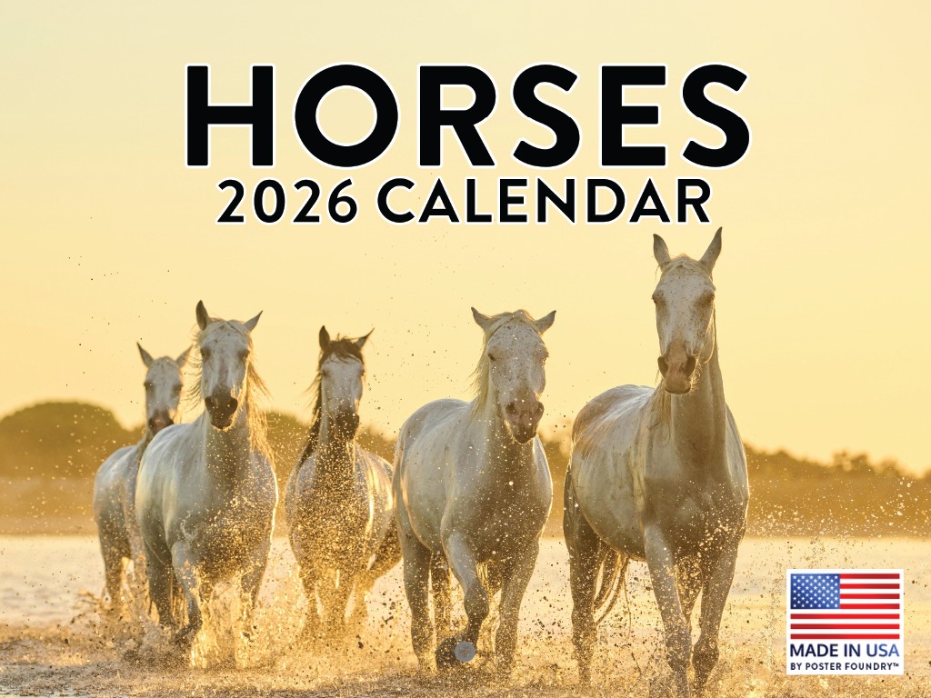 Horse Calendar 2026 Horses Monthly Wall Calender 12 Month 12×18