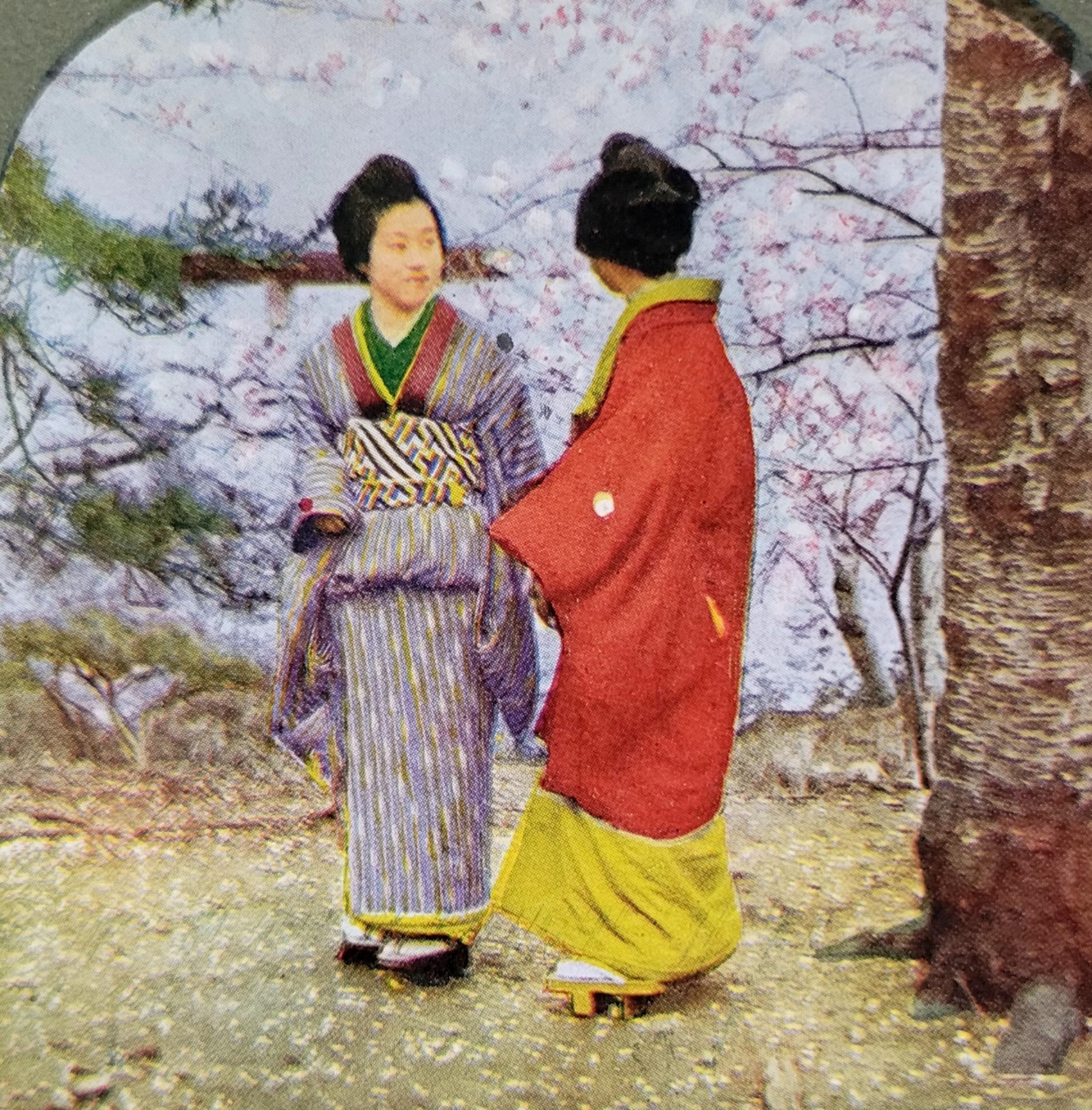 Norjl Park Japan Blossom Views Stereoview hand tinted color photo 3D card