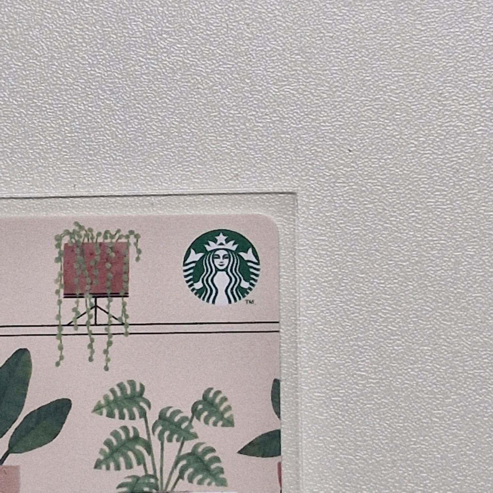 Starbucks Korea Card – Plants – 2021