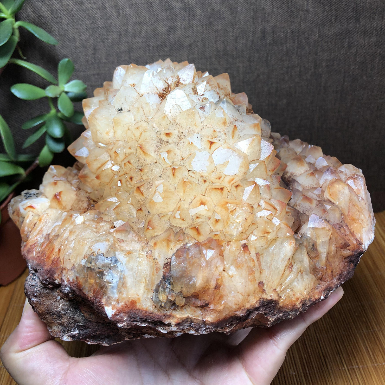 2.47kg Rare Natural rough Agate original pretty Stunning Viewing 190mm A2746