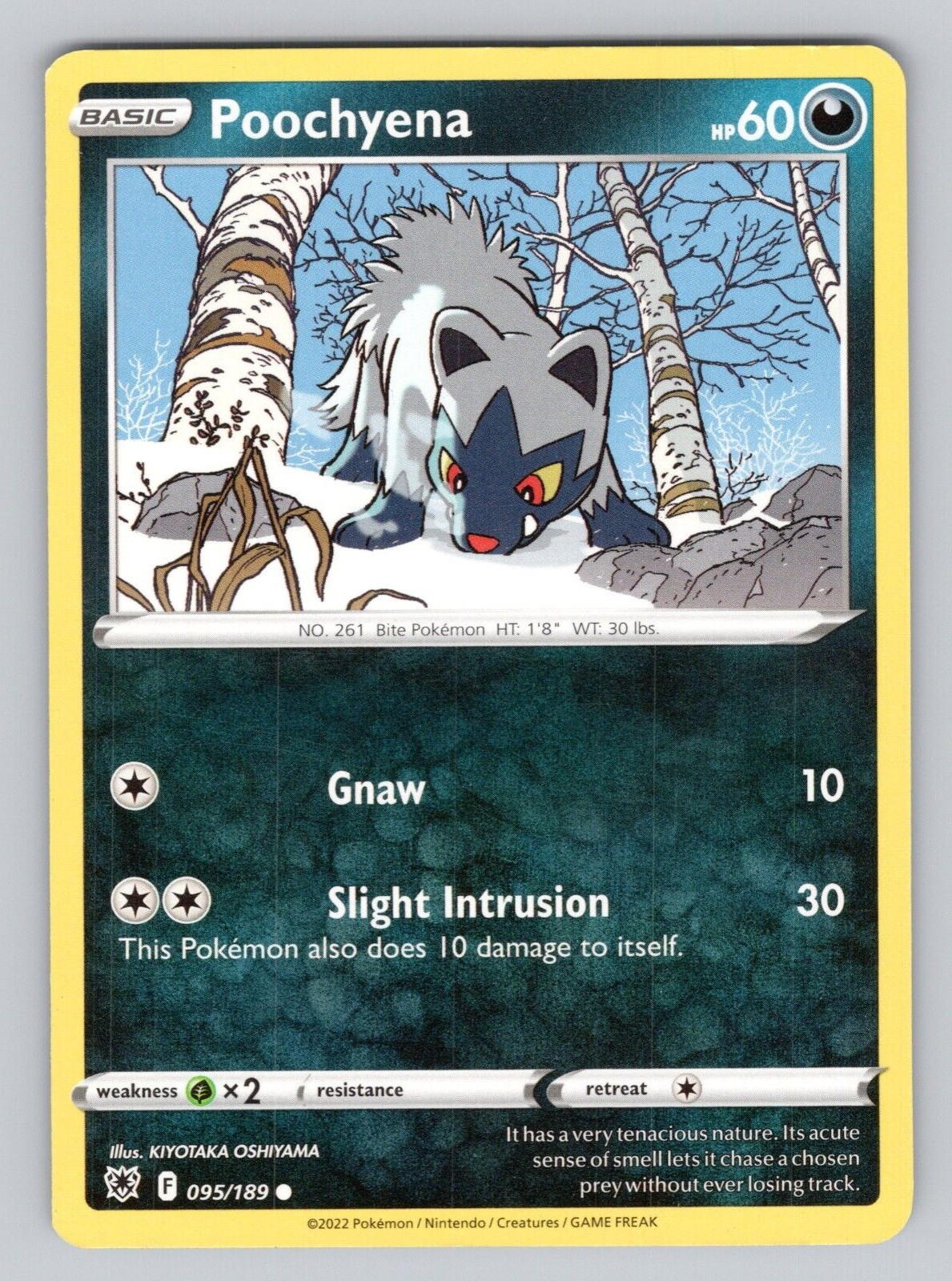 Poochyena Pokemon Card Astral Radiance Base Set #095/189