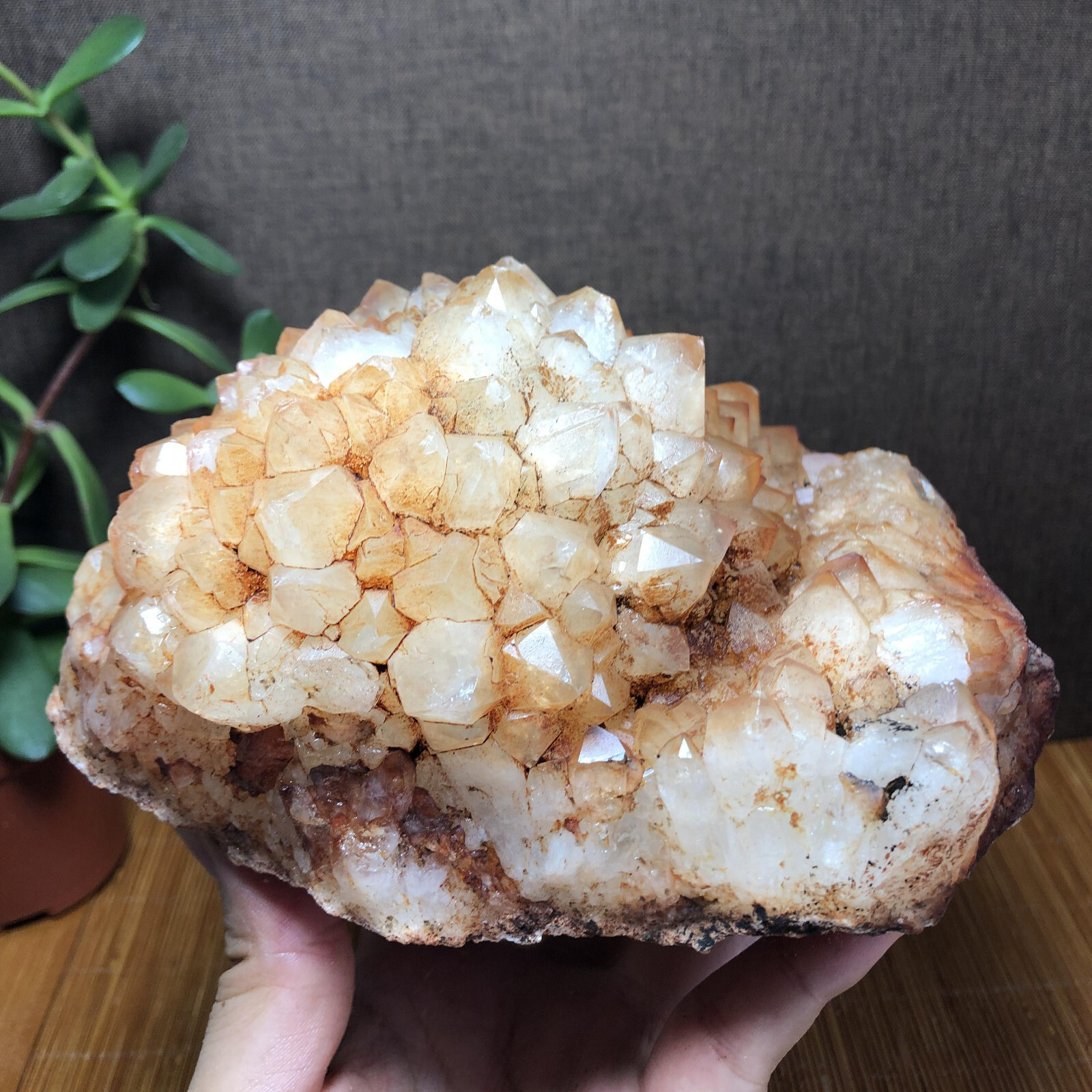 2.47kg Rare Natural rough Agate original pretty Stunning Viewing 190mm A2746