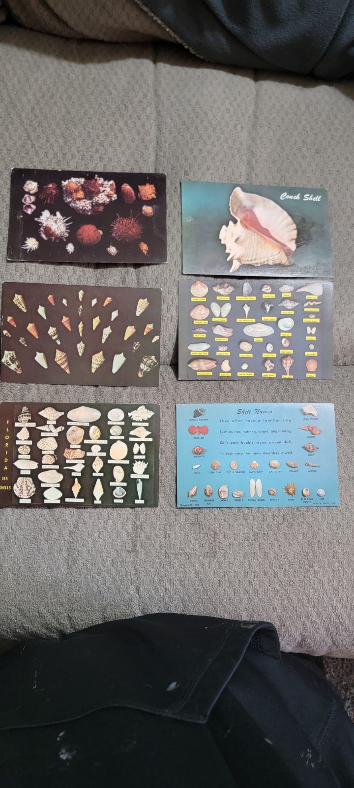 Vintage Postcards Collectible