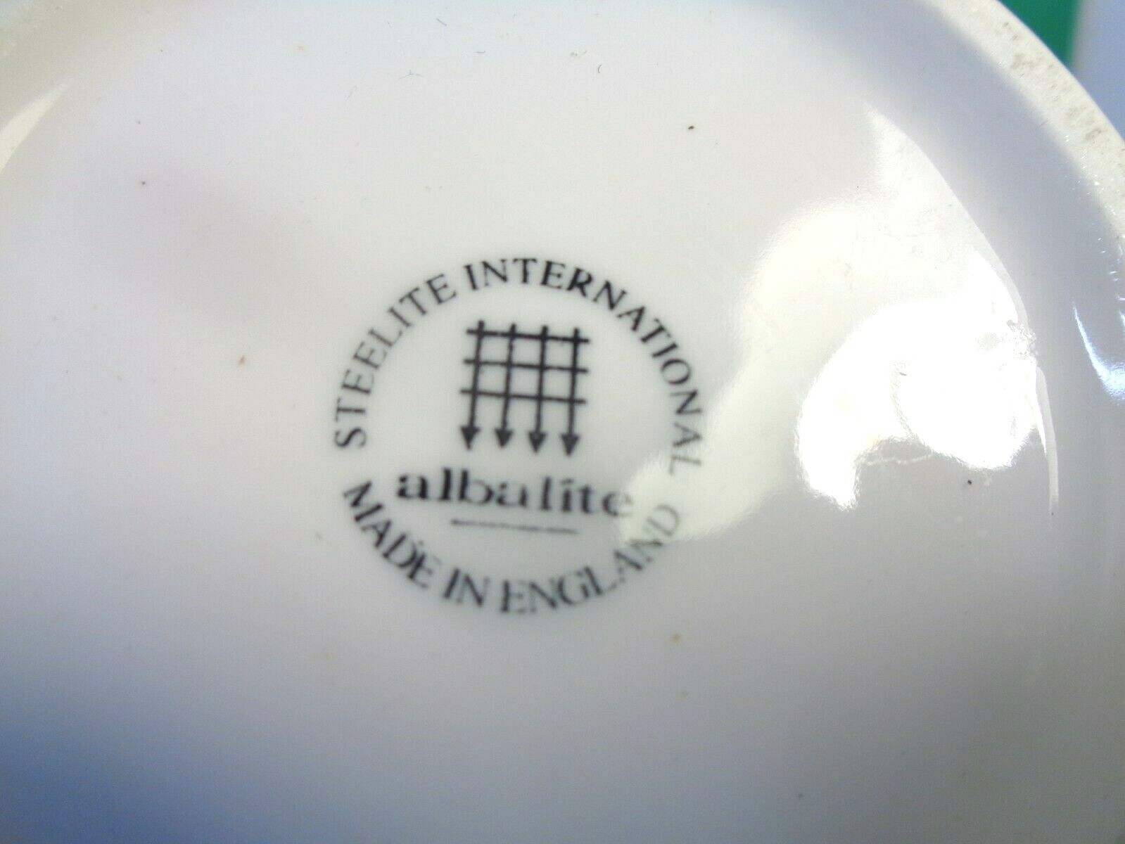 Pacifica Seafood Buffet Coffee Mug, Steelite International (Used/EUC)