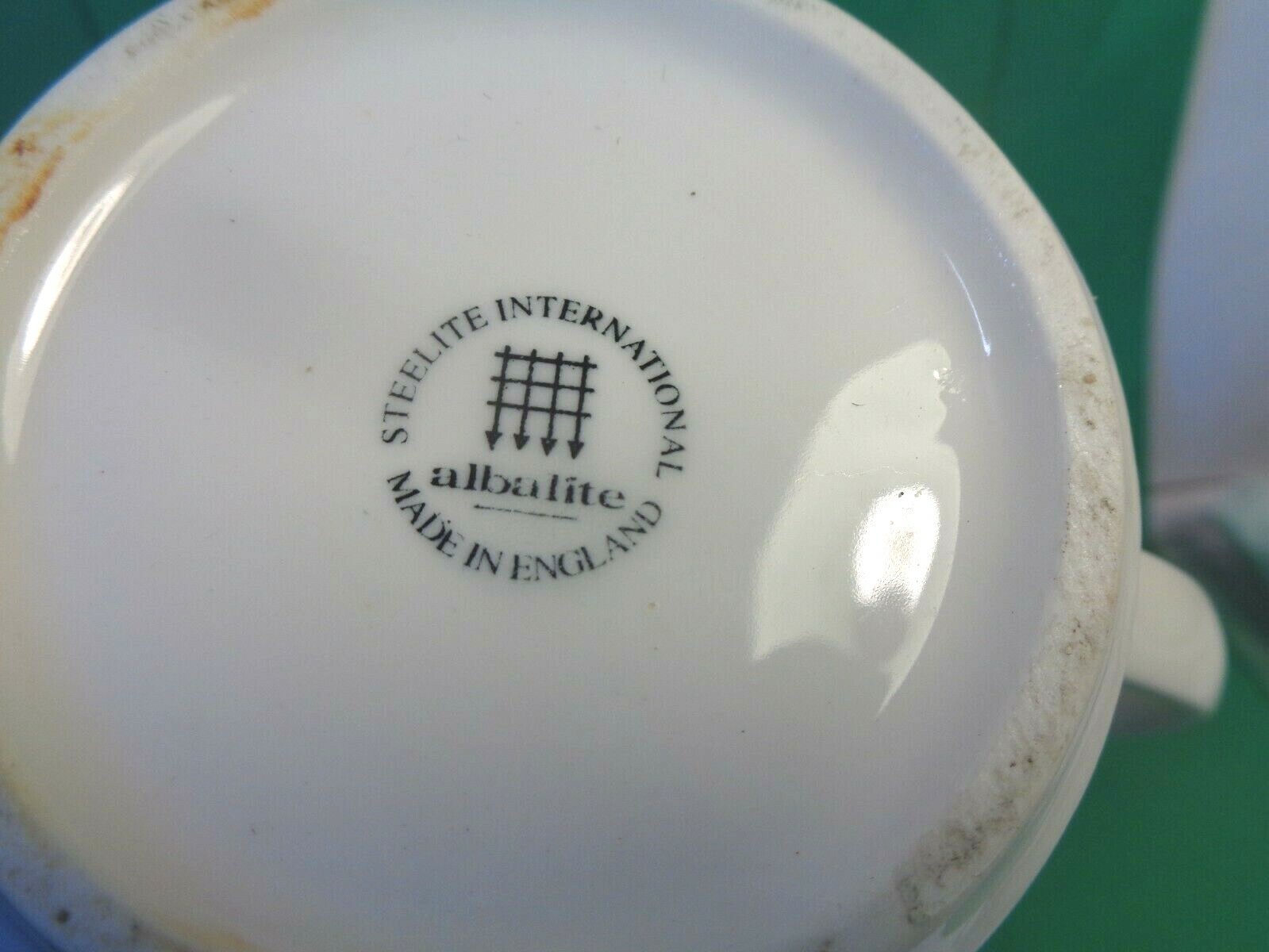 Pacifica Seafood Buffet Coffee Mug, Steelite International (Used/EUC)